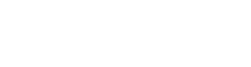 AiNex